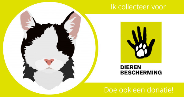 maak-je-eigen-online-collectebus-aan